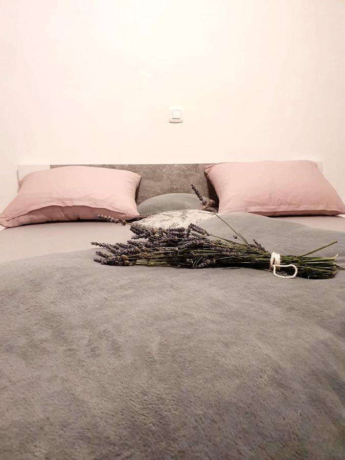Skolj Apartment